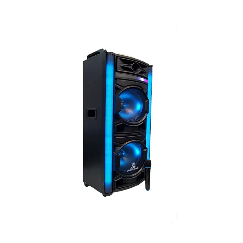 اسپیکر 2 ساب 12 ایستاده 1286 آنیکو